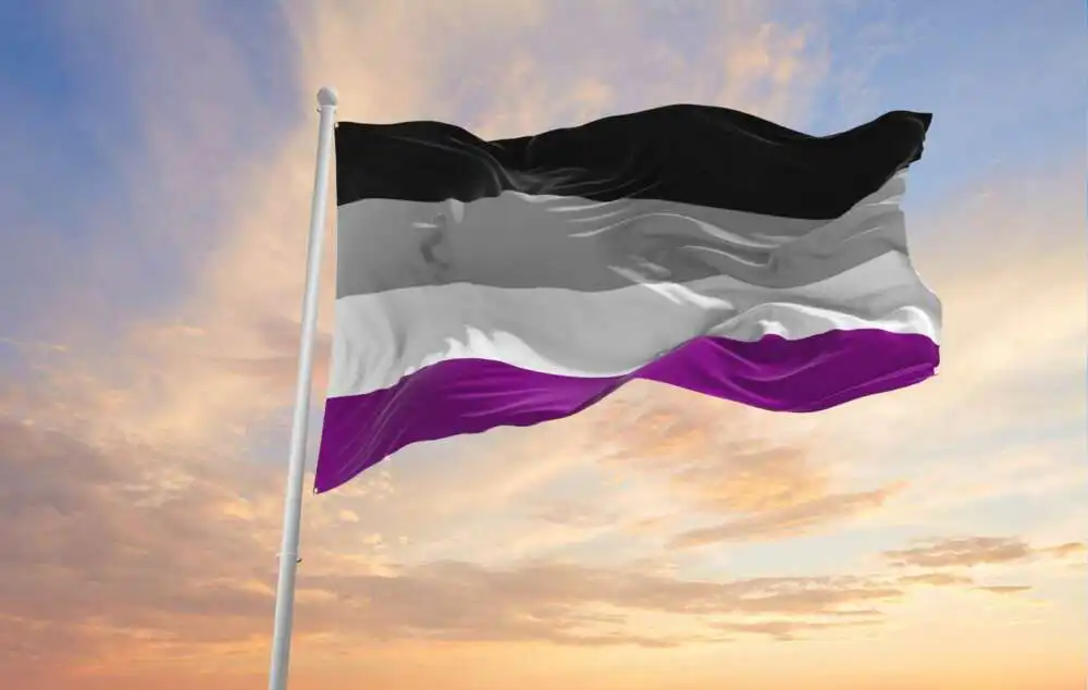 asexualité drapeau